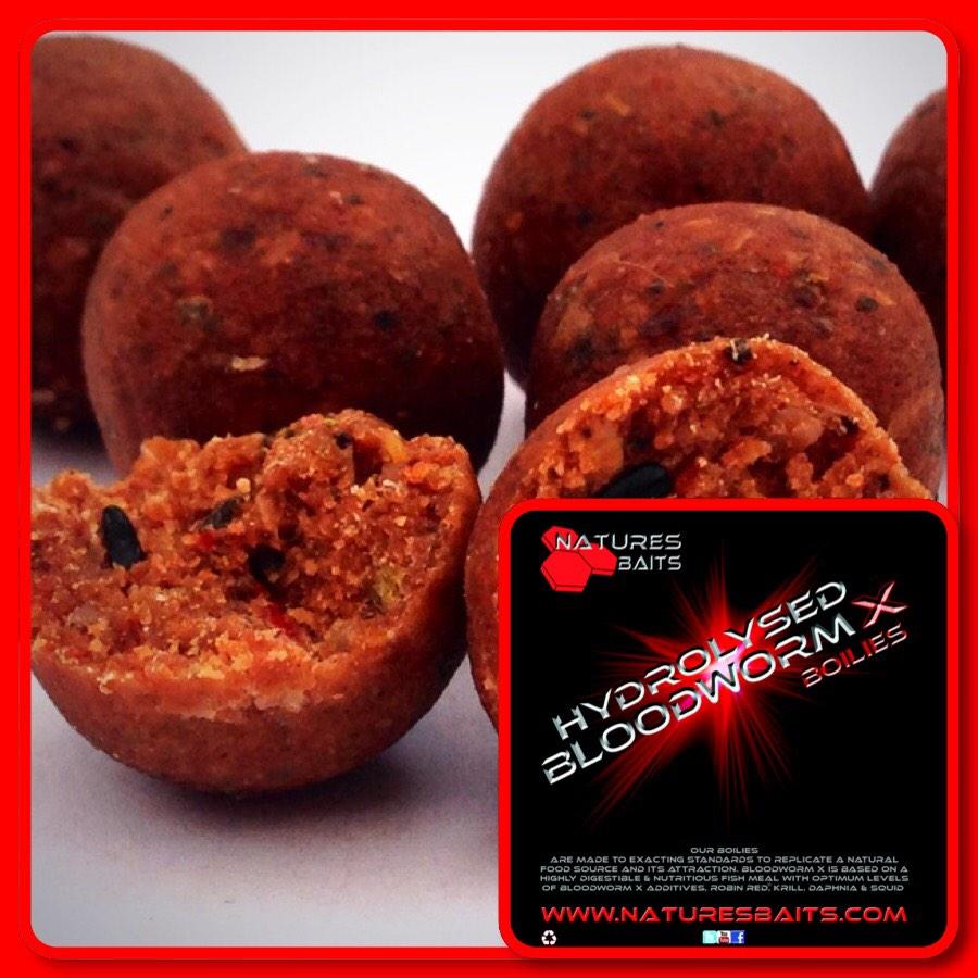 BaitJam's tweet photo. James Sansoni on a short afternoon session using BloodwormX &amp; our End-Zone terminal range

http://t.co/rc97K9WfFN http://t.co/DOCNRc5mw9