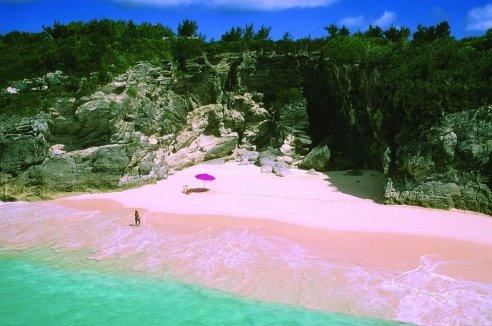 Пляж розовых песков на острове Харбор, Багамские Острова

#Красота #Природа #Багамскиеострова