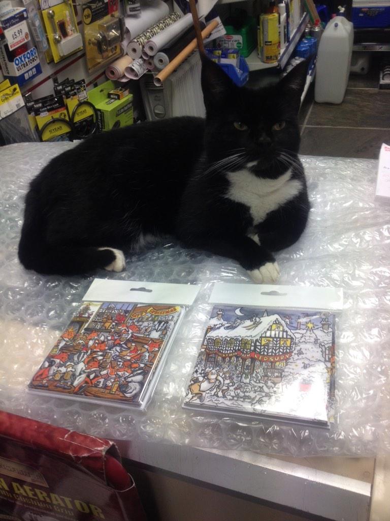 Shop cat promoting new Cookie cartoon   Christmas cards now in. #veryledbury @Bamboo_Ledbury <a href="/Gaynans/">Gaynans</a>