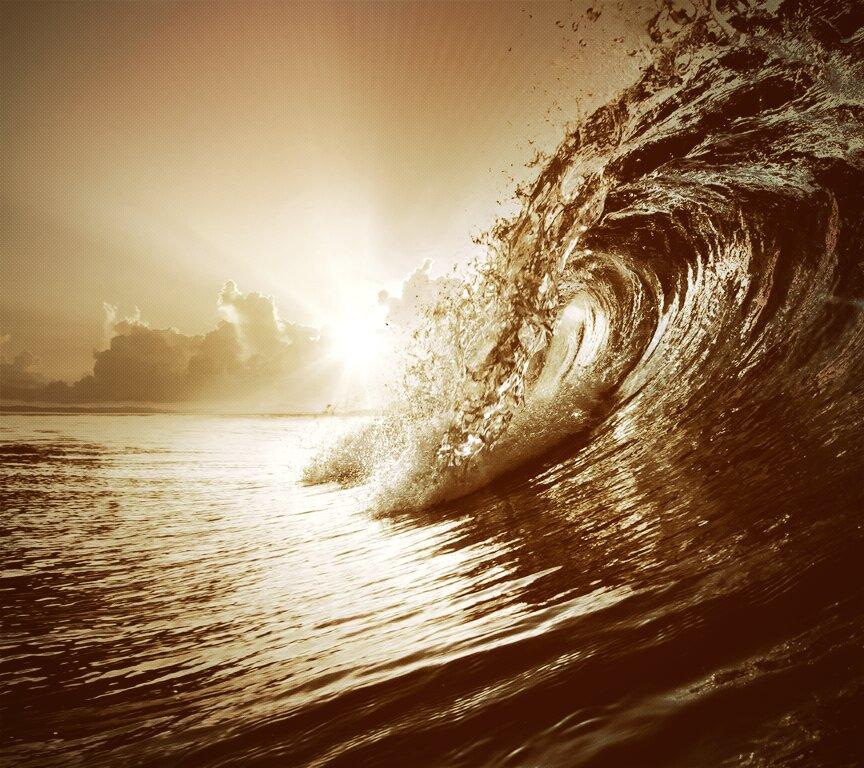 Marcus David tweet media