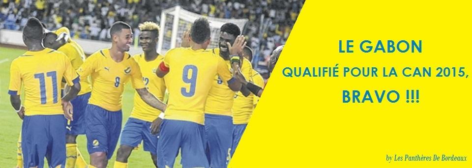 Stadium_ga's tweet photo. Le #Gabon en #CAN2015, Bravo à @didier_ovono @Andre_Pocko @LevyMadinda @lloydpalun21 @FredericBulot et les autres http://t.co/xqtbcVyNbA