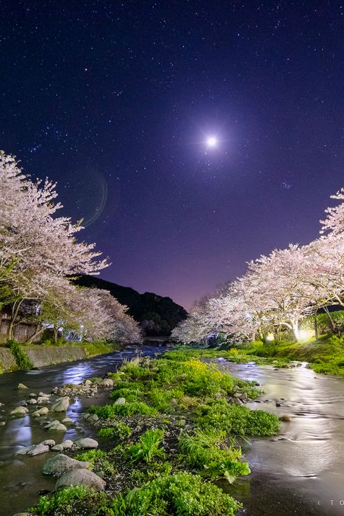 NAMPO DONG OISHI (@lsynavy) on Twitter photo 