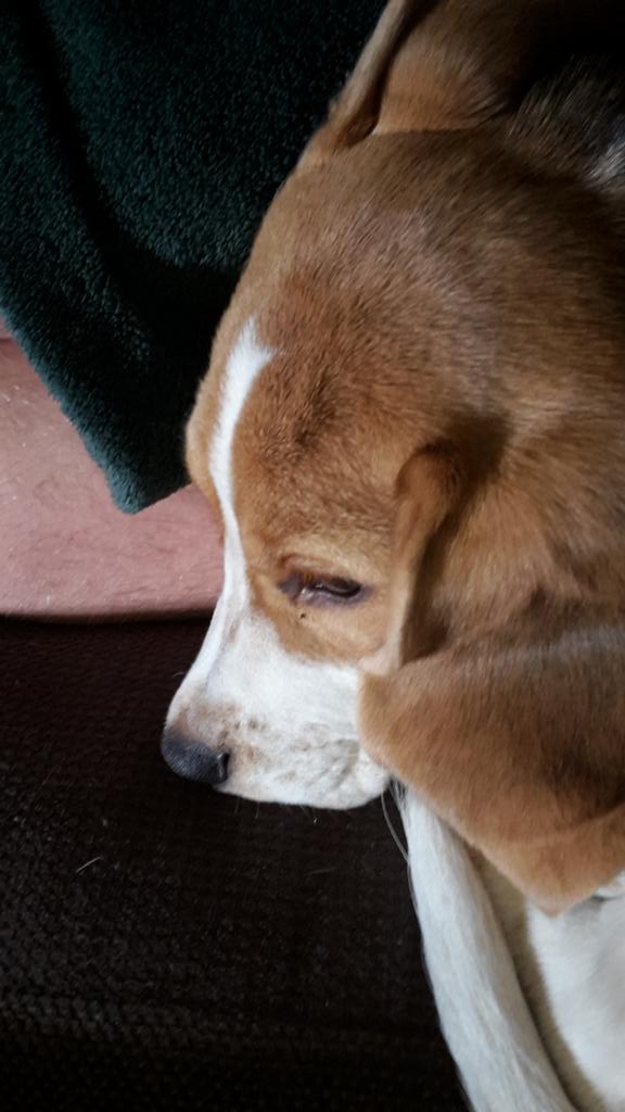 @ttriinp <a href="/kixteeer/">kristi</a> sellist mõtled ?