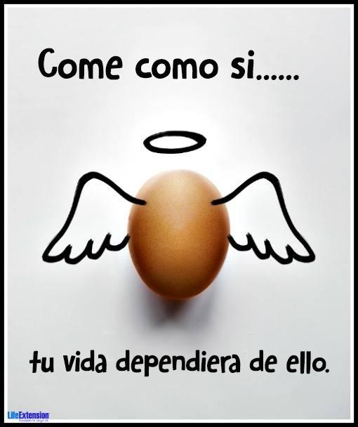 LifeExtensionES's tweet photo. Rellena el espacio: "De 1 al 10, mi dieta es de _____"

#dieta #salud #nutrición #suplementos #LEE http://t.co/UiyMn48gis