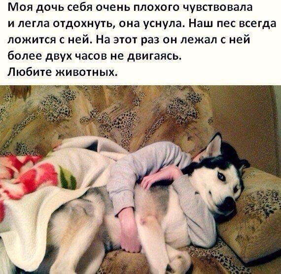 mir_korma's tweet image. А ты любишь животных?

#животные #люблю