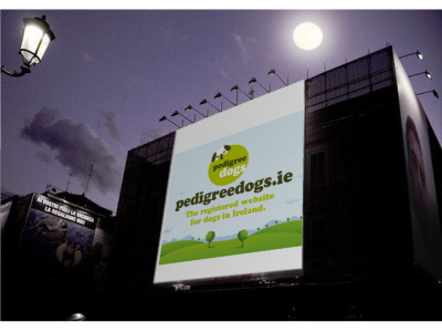 DogTreatNews's tweet image. RT #pedigreedogs: j.mp/1zAfMow Just taking a leaf out of the SupermacsIRE advertising manual, next s...