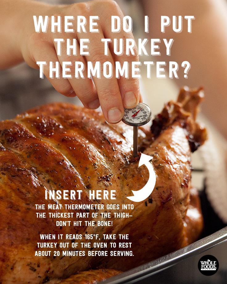 Guess who forgot to take the thermometer out when I checked on the turkey?  : r/facepalm