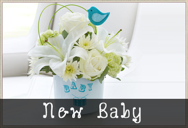 CosmeaGardens's tweet image. #CosmeaGardens will supply beautiful #FlowerArrangements for all occassions. What's your ... goo.gl/souQsg