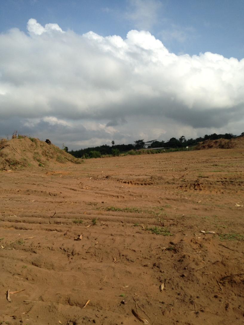 Promogim tweet media