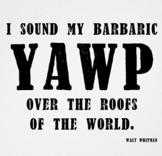 Mondays are hard. But a great YAWP can make them better.