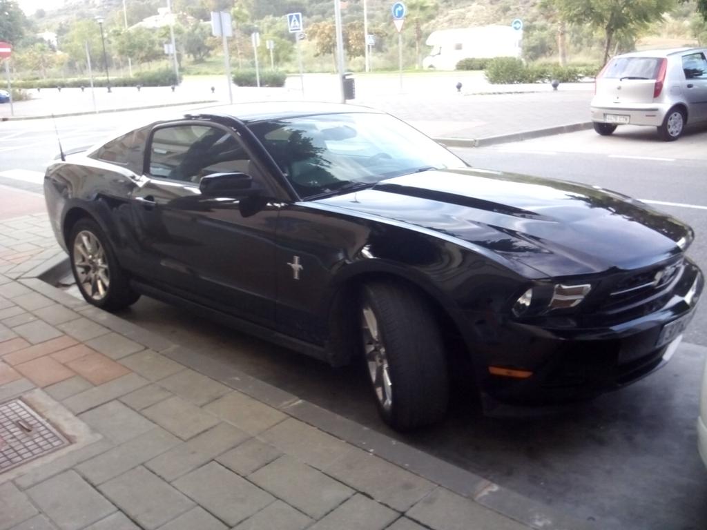 JAngelsk8's tweet photo. Amor extremo en málaga <3 #Mustang #Shelby #Malaga http://t.co/uepqaToy2m