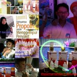 Photo by Propolis & biyang (@PropolisB)