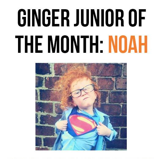 GingerParrotUK's tweet photo. #GingerJuniors section brings #Ginger Junior of the Month! Everyone wave at 4-year-old Noah: http://t.co/i6FN1D3mHT http://t.co/UsqOVnctfw