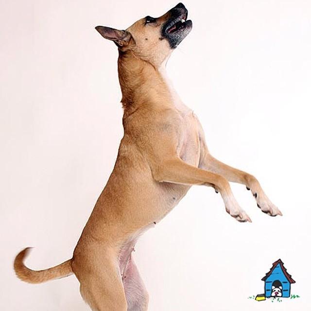 pethouserd's tweet photo. ¡No importa que sea lunes, hoy levántate con más ánimos para conseguir todo lo que te pr... http://t.co/sCDxlTTFKz http://t.co/QKo4FR9OXE