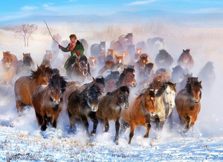 Gabriele Corno tweet media