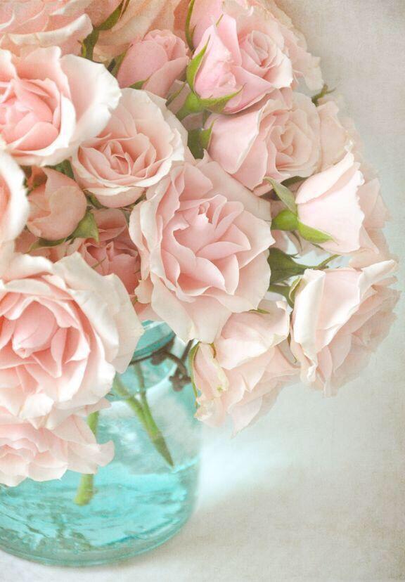 lovemegmail's tweet photo. @sevincormanci http://t.co/92pcWimOFu