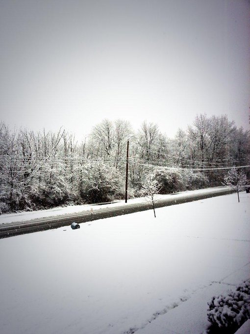 Woke up to a total Winter Wonderland this morning! This state is playing with me right before I move<a href="/tag/mvsales"class="tags"><span>#mvsales</span></a>