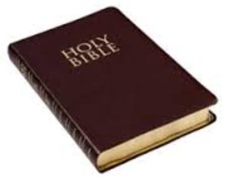 Boring_Scafidi's tweet photo. My starter pack http://t.co/81wyQIgX6L