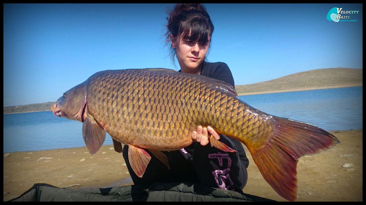 Leon_Bartropp's tweet photo. Why do you think we don't see many 'Female' anglers in our sport? #fishing #carpfishing http://t.co/9Ey1NZN7gh http://t.co/pcNGsdR8XM