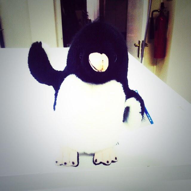 In2ambition's tweet photo. Say hello to Iggy the In2Ambition penguin! We support @WWF by donating monthly #inspired @MontyThePenguin http://t.co/qtjv5yOzU6