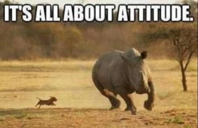 atomicsupps's tweet photo. http://t.co/51e869xEvl