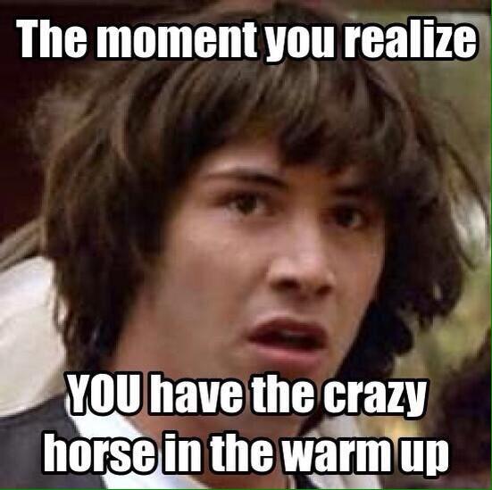 Sea2sky_eq's tweet photo. I always have the crazy horse in the warm up ring. #ottbproblems #equestrianproblems #Thoroughbredproblems http://t.co/653fV7npvz