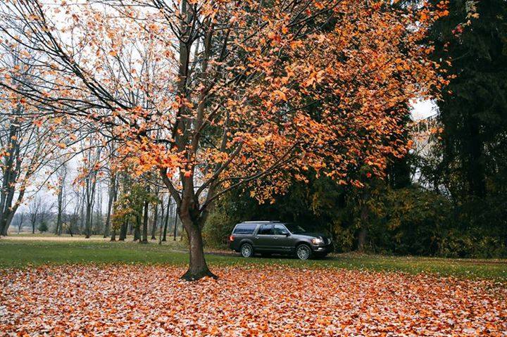 SpringfieldFLM's tweet image. What's the prettiest thing you see in this picture?  Bonus points if it's the #Lincoln #Navigator. #LincolnLife