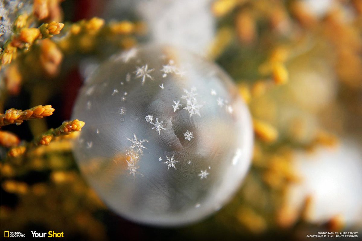 NatGeo's tweet photo. The magic of blowing bubbles in freezing temperatures: http://t.co/sfIOuem16p http://t.co/9V2LzsOmNu