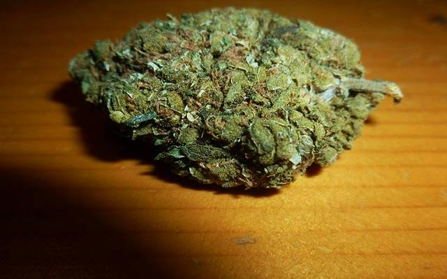 SJAMRelatable's tweet image. sjam highlander starter pack