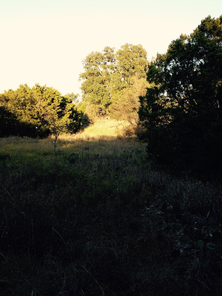 GhostBlind's tweet photo. Can you see me? http://t.co/mMZDoMjVHy