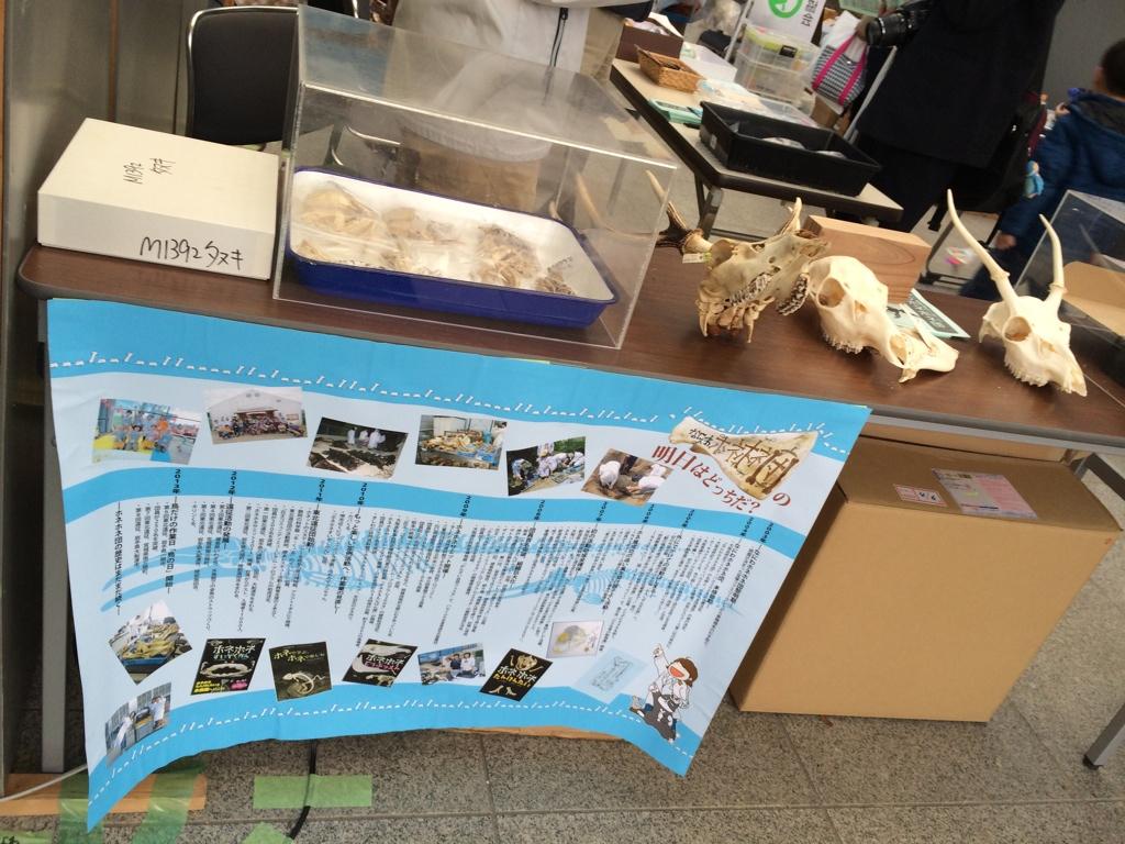 LandPlanariaBot's tweet photo. よくイメージされるカッコよく組み上げられた骨格標本ではなく、殆どは分離標本と言われるブロックごとに小分けされたバラバラパーツで保管される。見せる為じゃなくて研究するための標本だからね。 大阪自然史フェスティバル #onf2014 http://t.co/0X029mbn4b