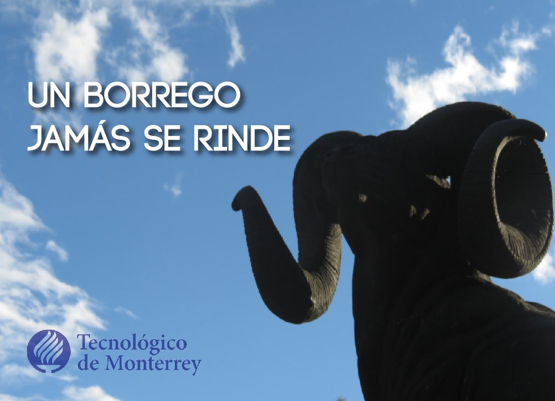 Tec_CCM's tweet image. Estas a un paso de terminar el semestre ¡No te rindas! Excelente lunes.