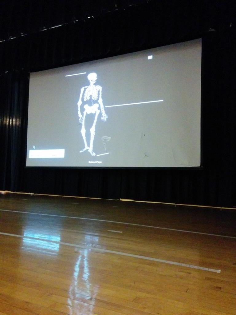 lamissy1's tweet photo. Third graders learn the bones of the body. #ps1xhhp http://t.co/nDkvKXFCd5