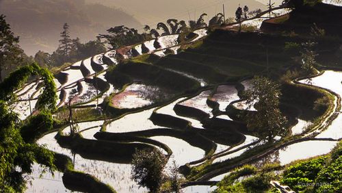 el_pais's tweet photo. 10 lugares imprescindibles de ver en el sur de China  http://t.co/ktWitLhdwg http://t.co/EFtZJaycLE