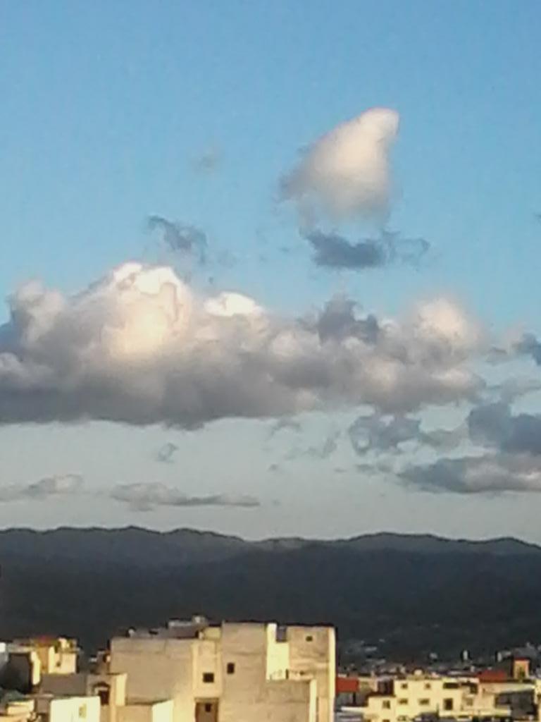badrchatt95's tweet photo. http://t.co/qxYhxclvDc