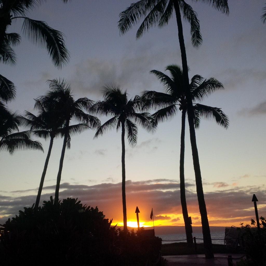 CliffdePalma's tweet photo. Loving Maui, missing @MargaretChapman http://t.co/z6Ck1DJMWj