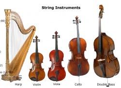 ehs_orch's tweet photo. Orchestra starter kit http://t.co/hqqExTubn3