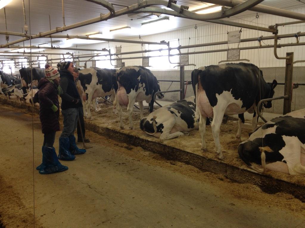 Megs_weber's tweet photo. @nate_leis touring the Welsh delegates around Claynook farm @WaterlooJF @JFAO__ http://t.co/EsfadWUq7b