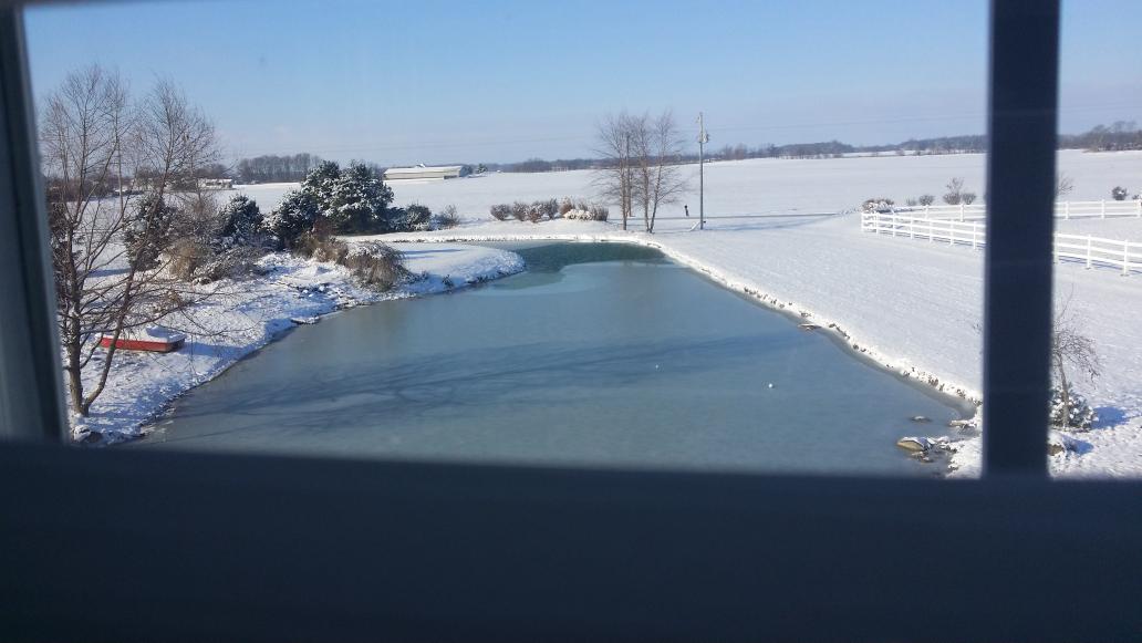 MzContractor's tweet image. Brrr..