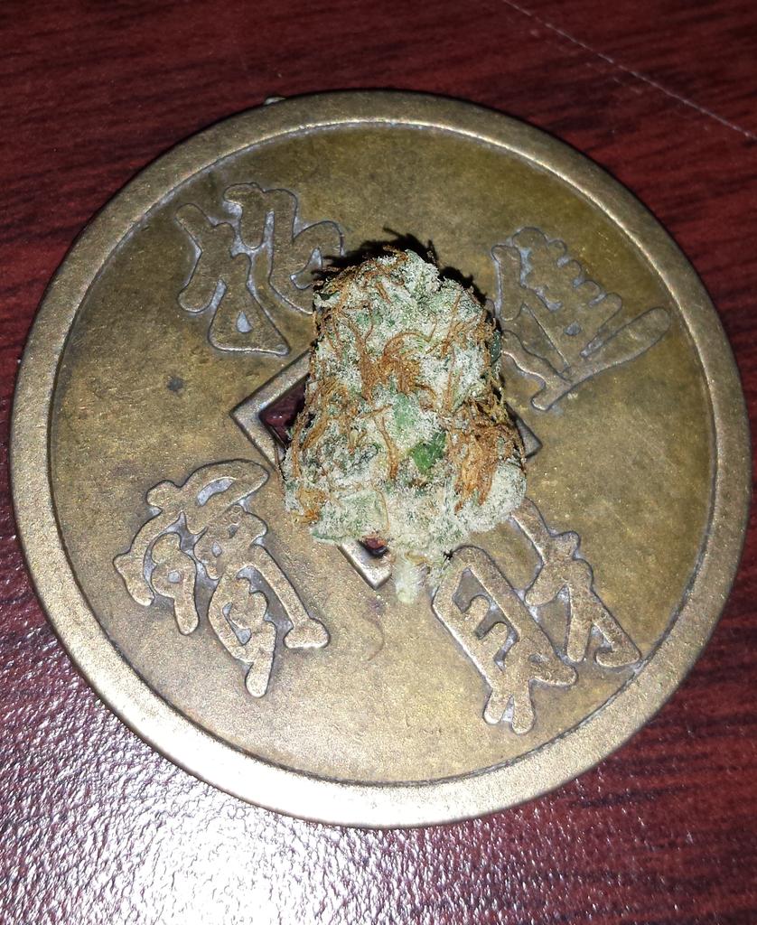 Potnonymous's tweet image. Frosty dank