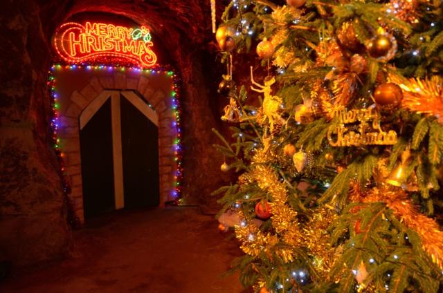 From 5-23 Dec enjoy a Santa Safari at <a href="/TheFollies/">Hawkstone Park Follies</a>, Hawkstone Park. More info here: bit.ly/14zD6Gp