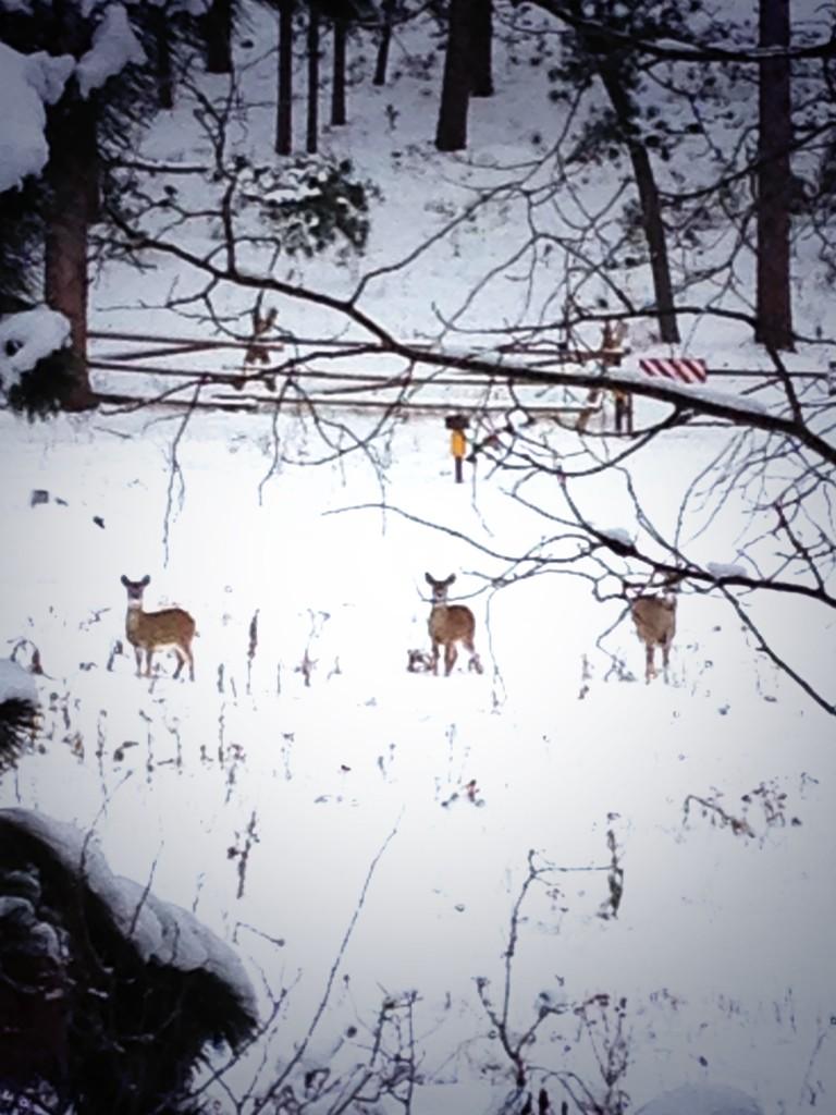 307_eric's tweet image. Just need the biggin to step out👌