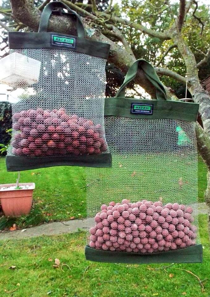 CheesemanRoss's tweet image. Rat bag rodent proof air dry bag inbox me for info