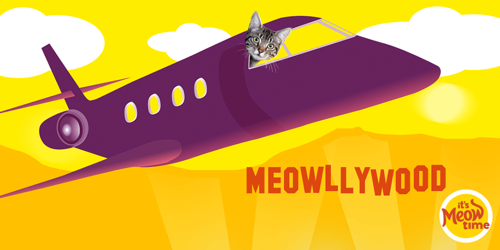 meowmix's tweet photo. Film a video of you &amp; your kitty singing our jingle &amp; you could jet to Hollywood! http://t.co/jxrKkKhhZS #ItsMeowTime http://t.co/Ke2JwOx4Ge