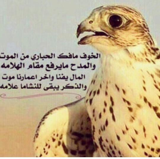 مِحً ـمِدُ آلغشمّ (@dads_nor59653) on Twitter photo 