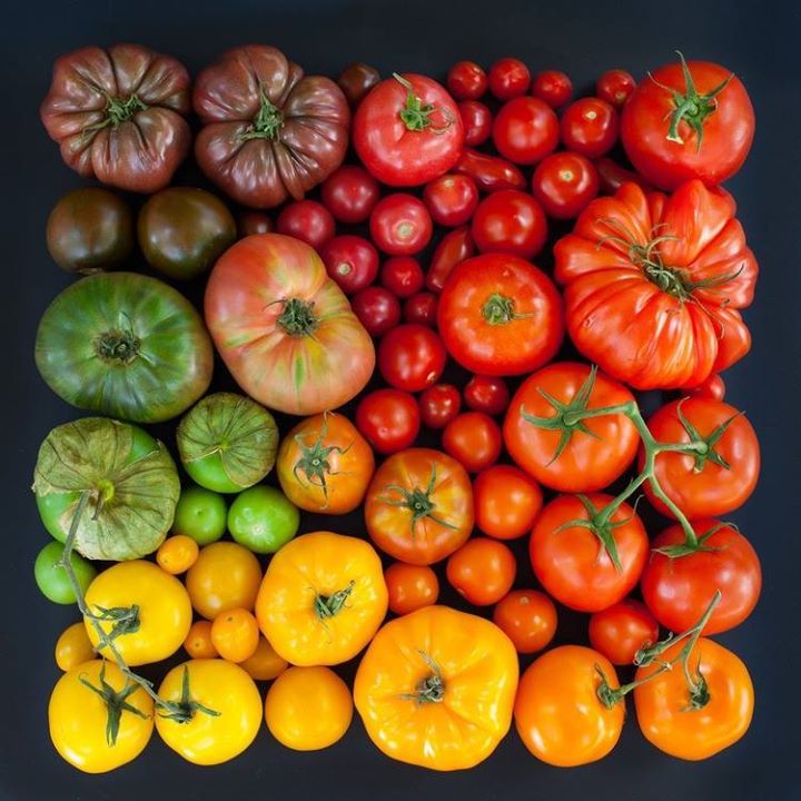 ocaborg's tweet image. THIS IS REAL ORGANIC PRODUCE