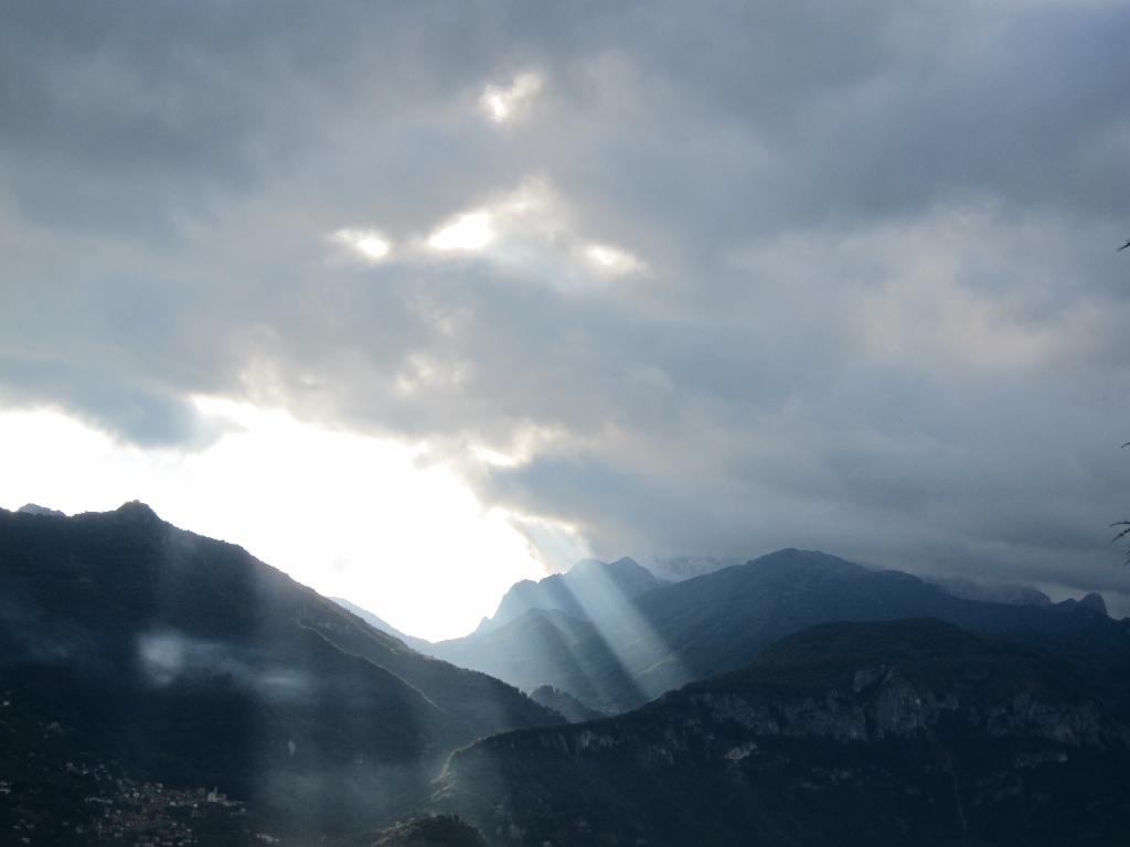 Gwen Wulfers tweet media