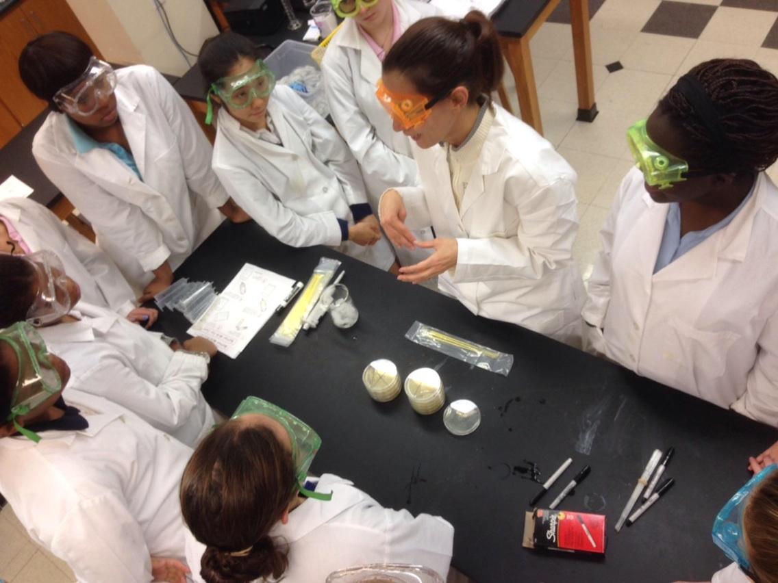 KHirt's tweet photo. Bacterial transformation. It's AWESOME being a charter member with the @dnalc @marymountny #KruegerBio http://t.co/TSimS1gZK3