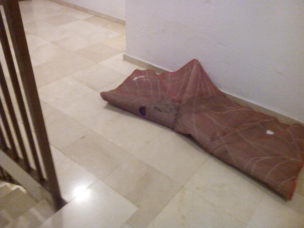 SapeMcAkogida's tweet image. En mi escalera ponen alfombras con eces de animales @ManoperroCharro que te parece!!?