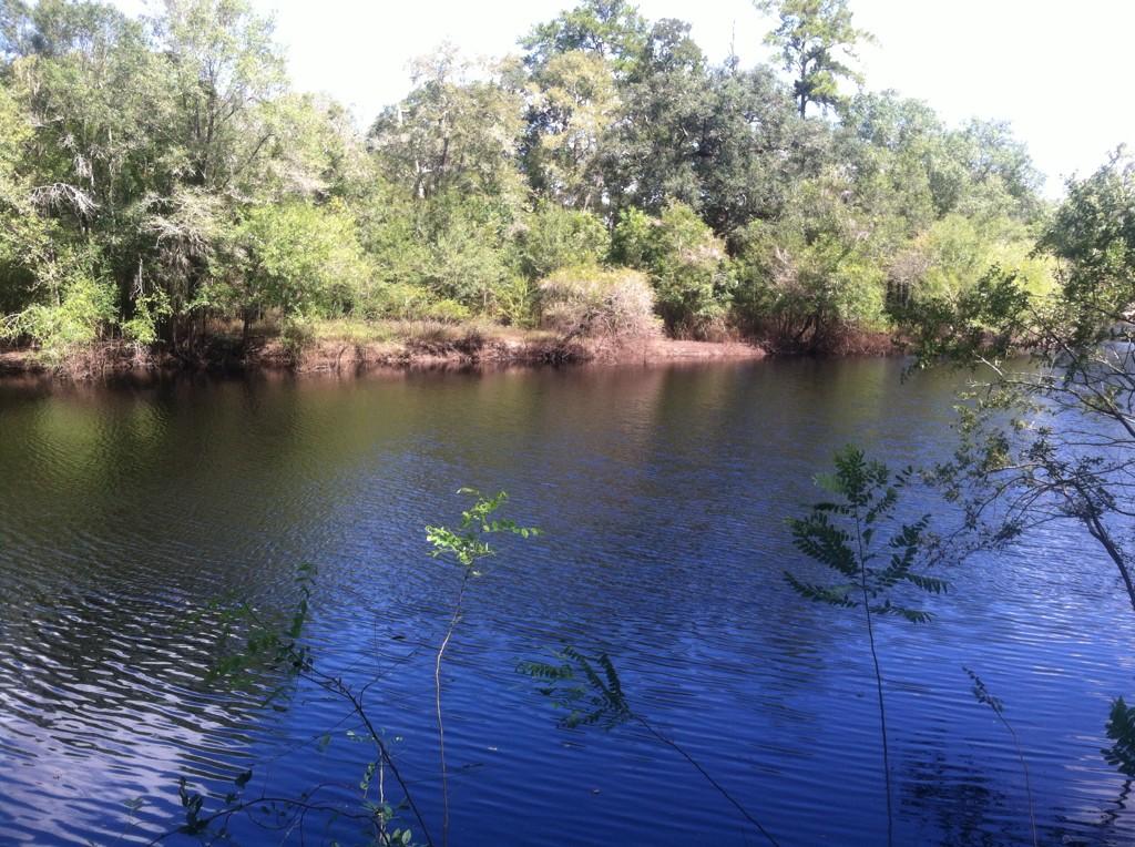 FloridaSprings's tweet photo. Troy Springs #scuba #diving http://t.co/ZoipmI2zii